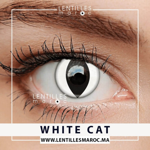 Lentilles Halloween - White Cat